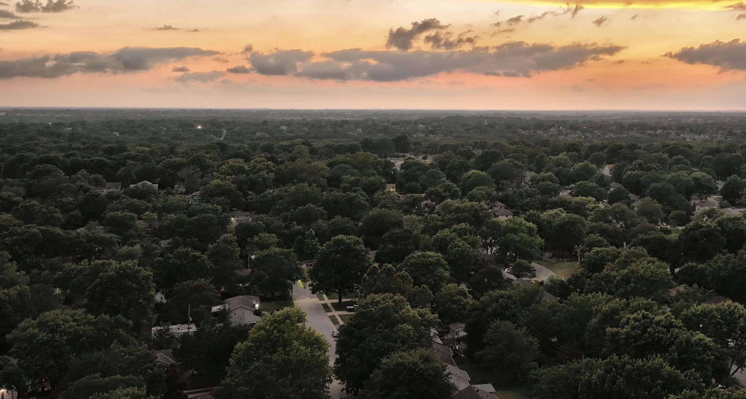Aerial of quiet residential streets under a mature tree canopy