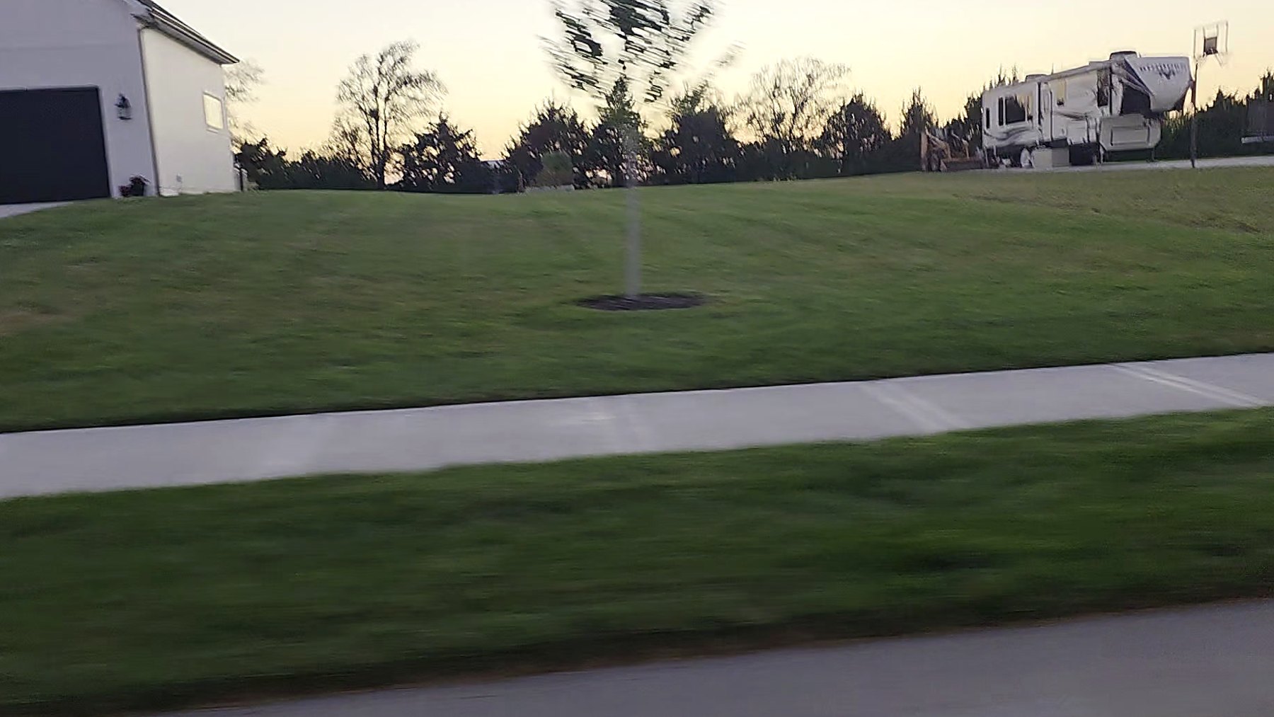 Treeline at dusk near Kill Creek Park, De Soto